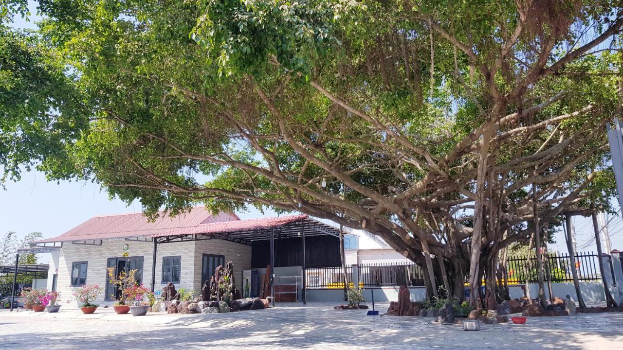 Homestay Thao Nguyen Xanh Lang Van Ke Eksteriør bilde